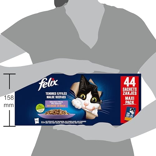 Vue 5 de Felix Tendres Effiles En