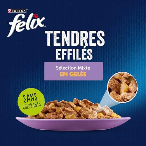 Vue 6 de Felix Tendres Effiles En