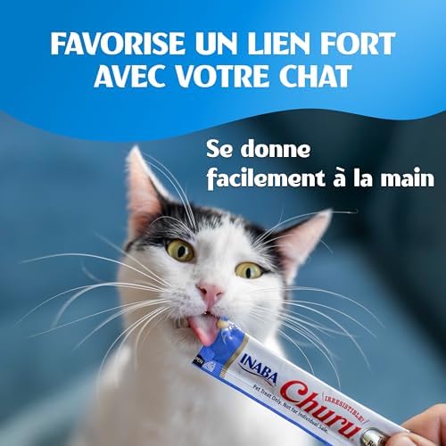 Vue 4 de Inaba Churu Friandises Pour