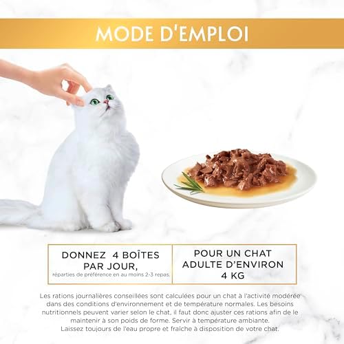 Vue 4 de Gourmet Gold Regal De