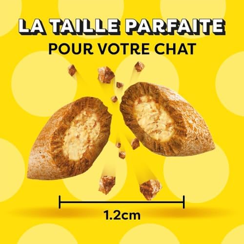 Vue 6 de Catisfactions Friandises Pour Chat