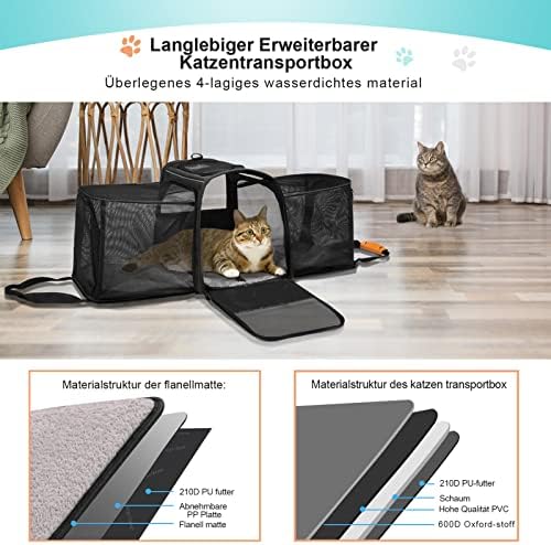 Vue 6 de Morpilot Grande Boite De