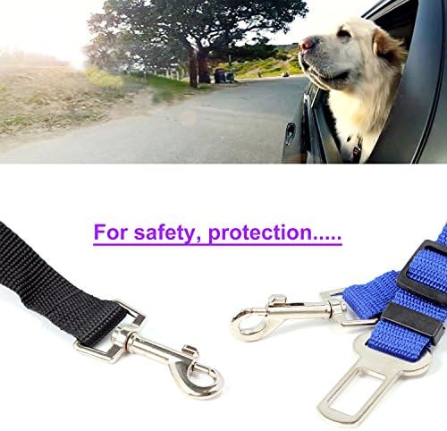 Vue 4 de Neuftech Laisse Ceinture De