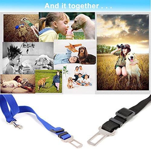 Vue 5 de Neuftech Laisse Ceinture De