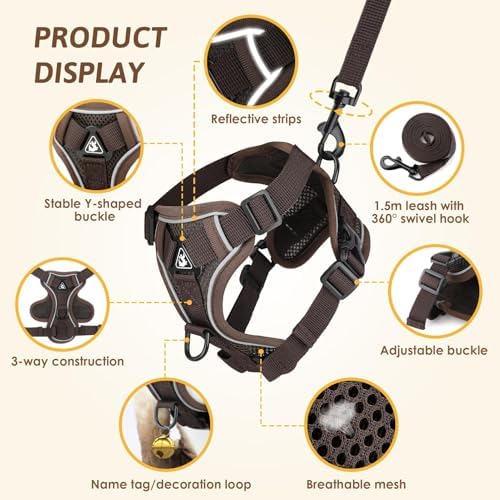 Vue 4 de Glasflength Harnais Pour Chat