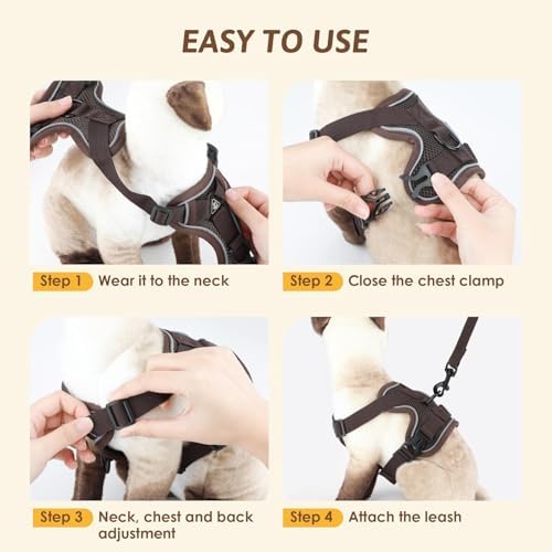 Vue 5 de Glasflength Harnais Pour Chat