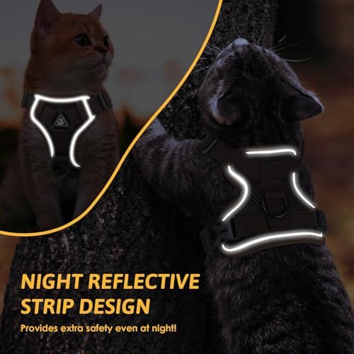 Vue 6 de Glasflength Harnais Pour Chat