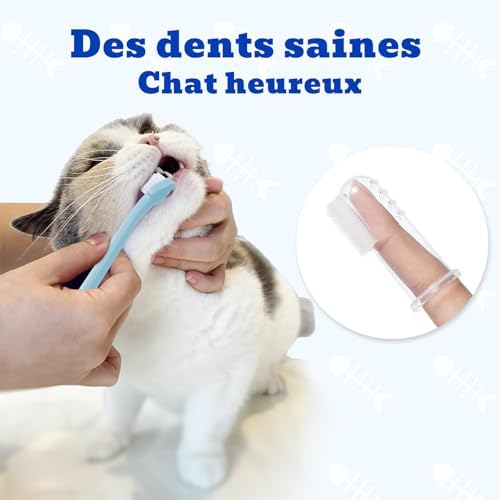 Vue 5 de Oivolii Dentifrice Chat Gout