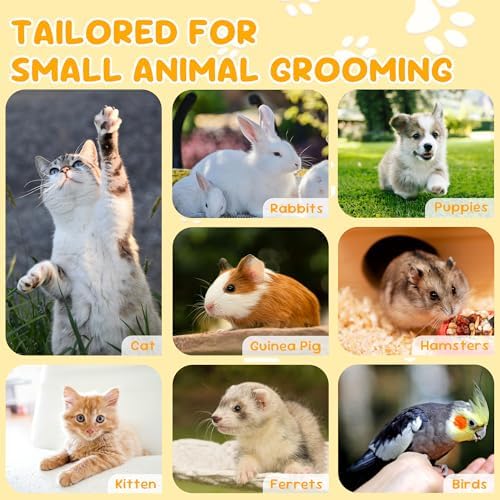 Vue 6 de Coupe Griffes Chat Professionnels