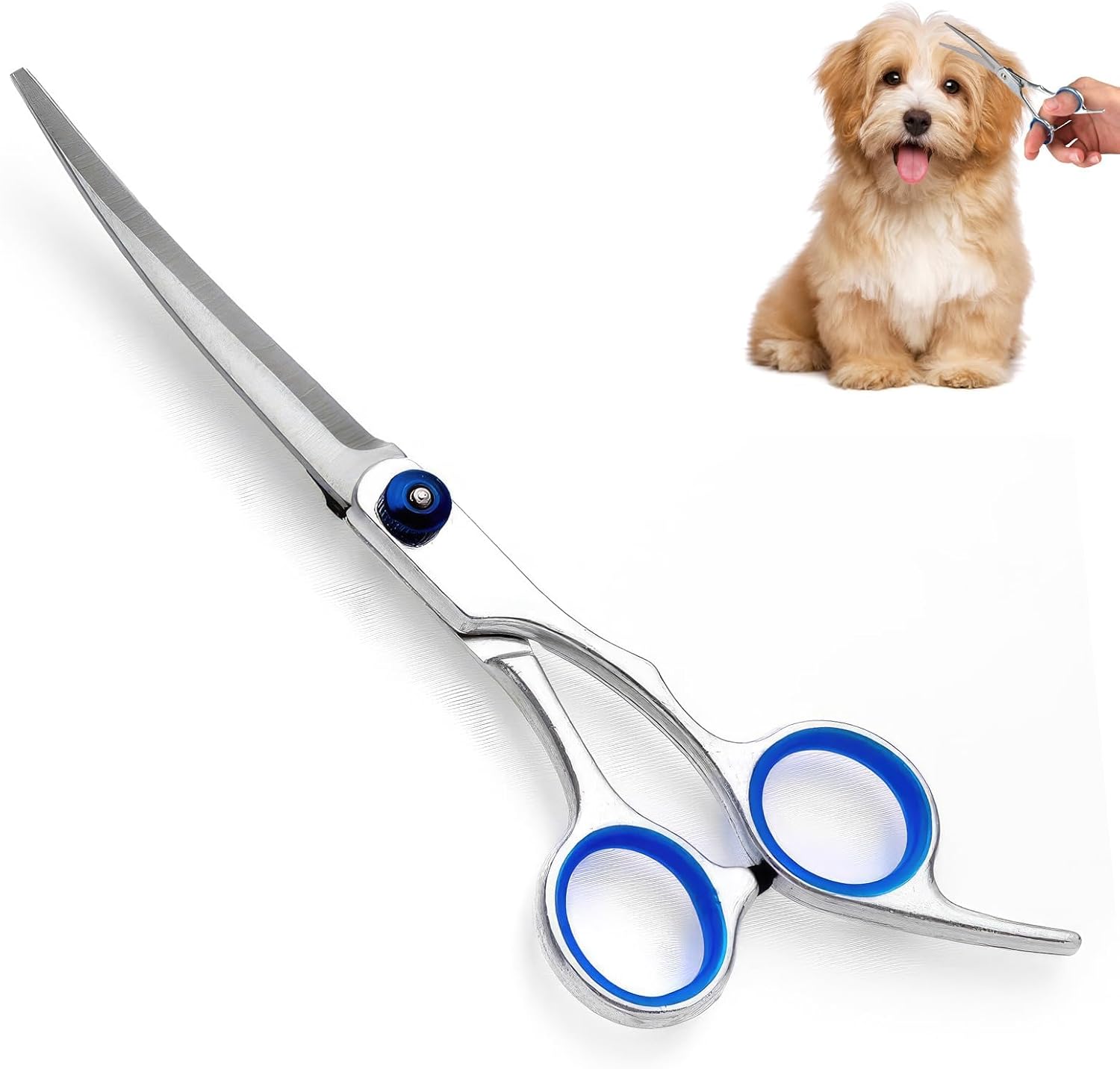 Ciseaux De Toilettage Professionnel