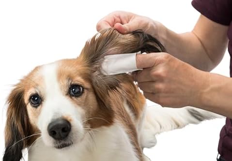 Vue 5 de Trixie Tr Doigtiers De