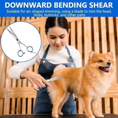 Vue 4 de Ciseaux De Toilettage Professionnel
