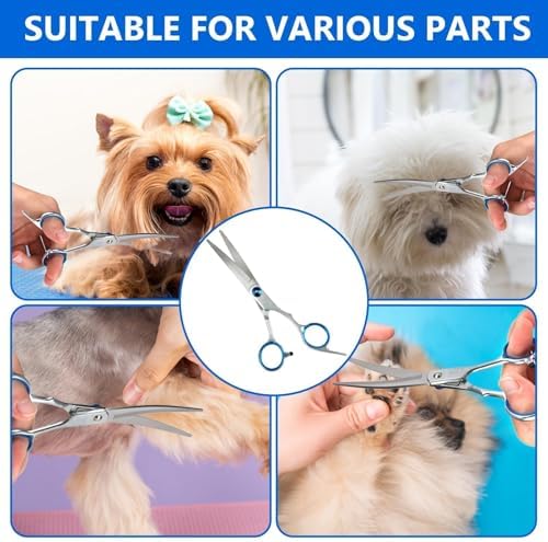 Vue 5 de Ciseaux De Toilettage Professionnel