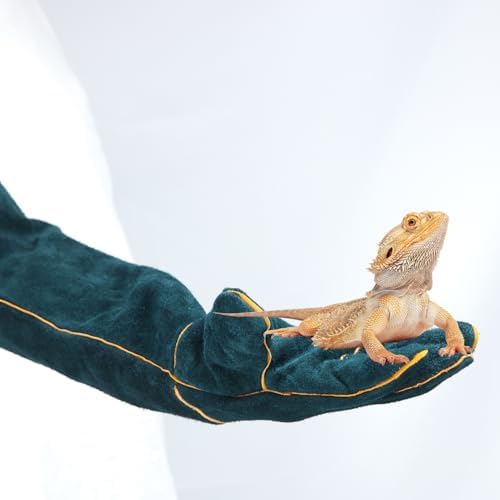 Vue 5 de Qwork Gants Antimorsure Cm