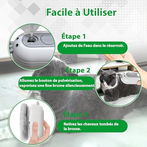 Vue 6 de Brosse Chat Vapeur Avec