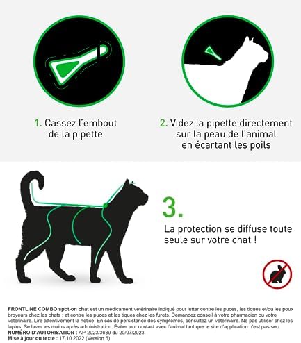 Vue 4 de Frontline Combo Spoton Chat