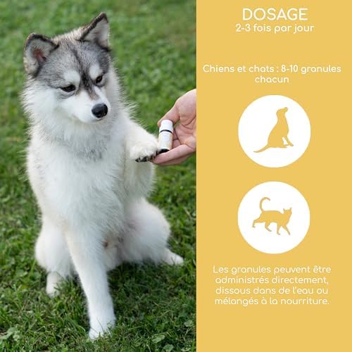 Vue 4 de Sans Peur Fleurs De