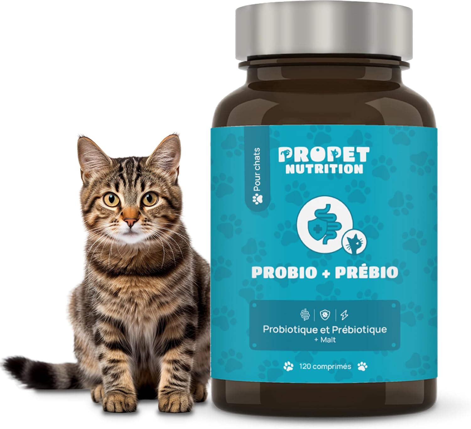 Probiotique Chat Prebiotique Vitamines