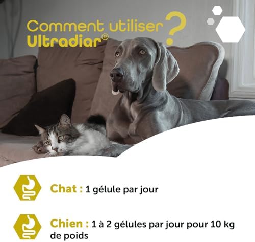 Vue 7 de Mp Labo Ultradiar Blisters