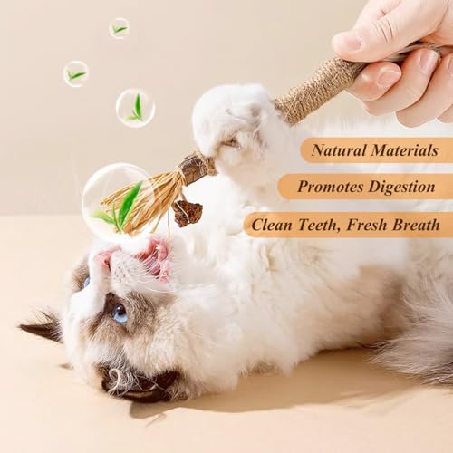 Vue 4 de Batonnets Herbe Chat