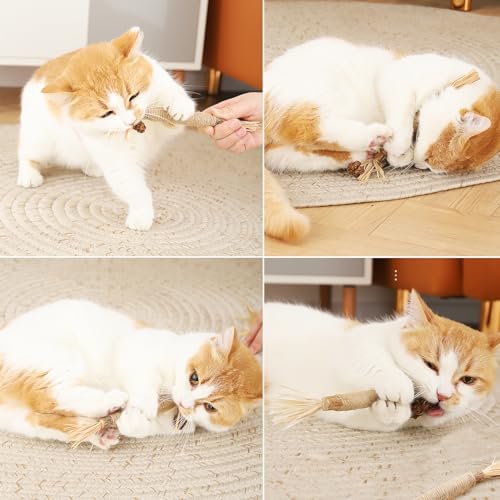 Vue 5 de Batonnets Herbe Chat