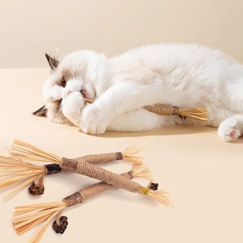 Vue 6 de Batonnets Herbe Chat