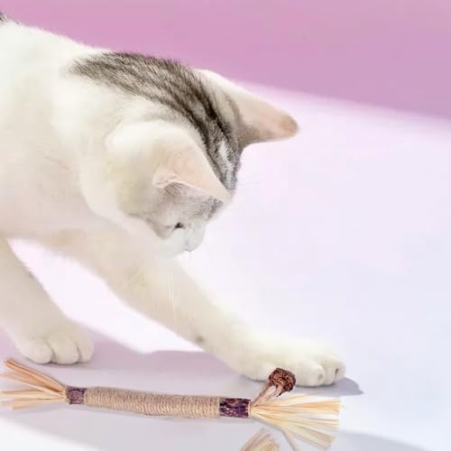 Vue 7 de Batonnets Herbe Chat