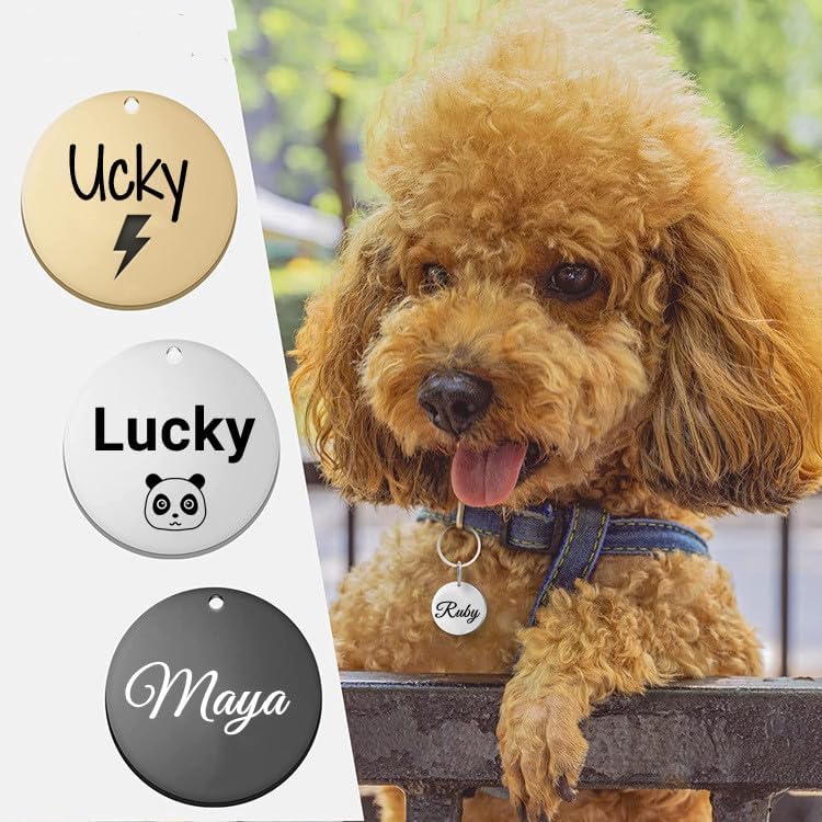 Vue 4 de Medaille Chien Et Chat