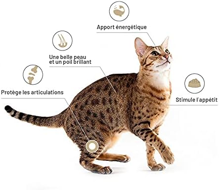 Vue 5 de Huile De Saumon Pour