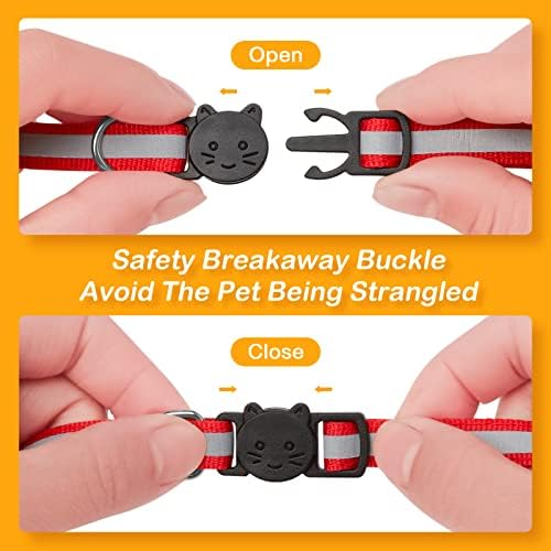 Vue 4 de Extodry Colliers De Securite