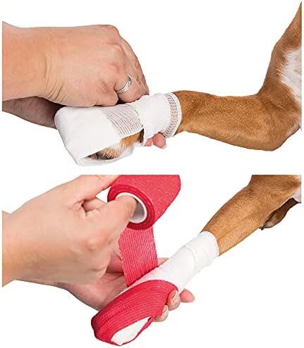 Vue 4 de Trixie Set De Premier