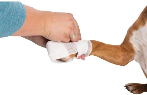 Vue 5 de Trixie Set De Premier