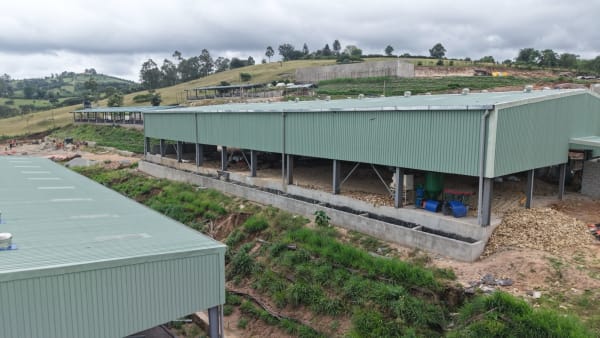 Coffee processing buildings on the Inspire Africa Coffee Park estate, Rwashameire