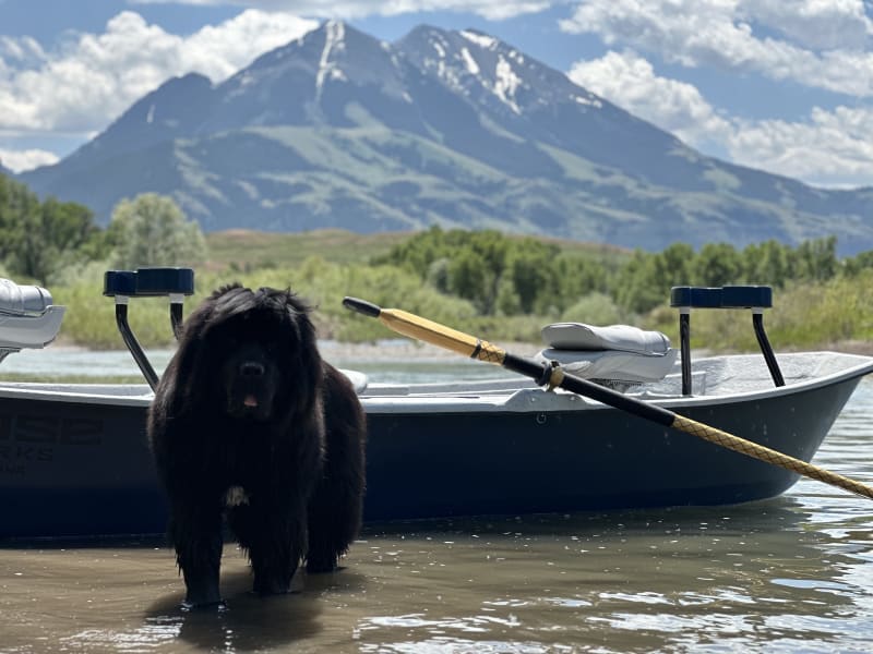 Southwest Montana Fly Fishing