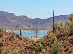 Movers in Peoria, AZ Movers in Peoria, AZ