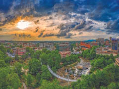 Movers in Greenville, SC Movers in Greenville, SC