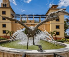 Movers in Hialeah, FL