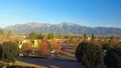 Movers in Rancho Cucamonga, CA Movers in Rancho Cucamonga, CA