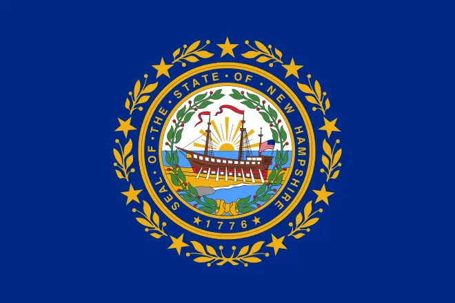 New Hampshire flag image