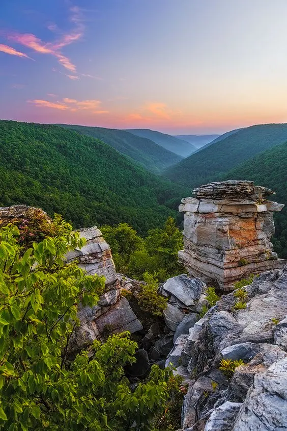 Nationwide Moving Guides For Anywhere in America SVL