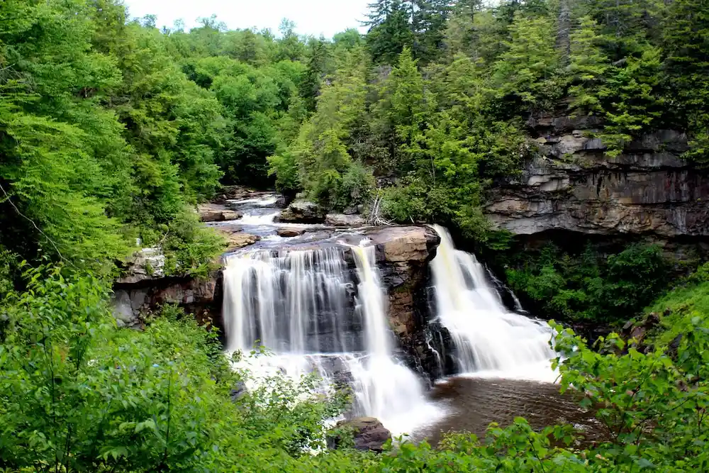 Blackwater Falls State Park SVL