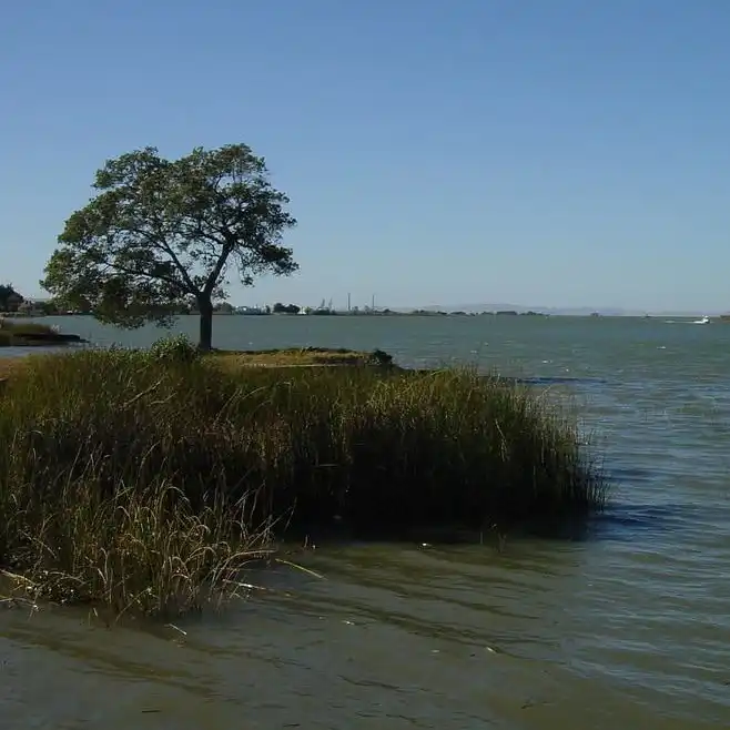 Delta Discovery Cruises SVL