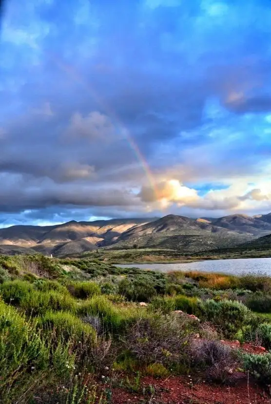 Nationwide Moving Guides For Anywhere in America SVL