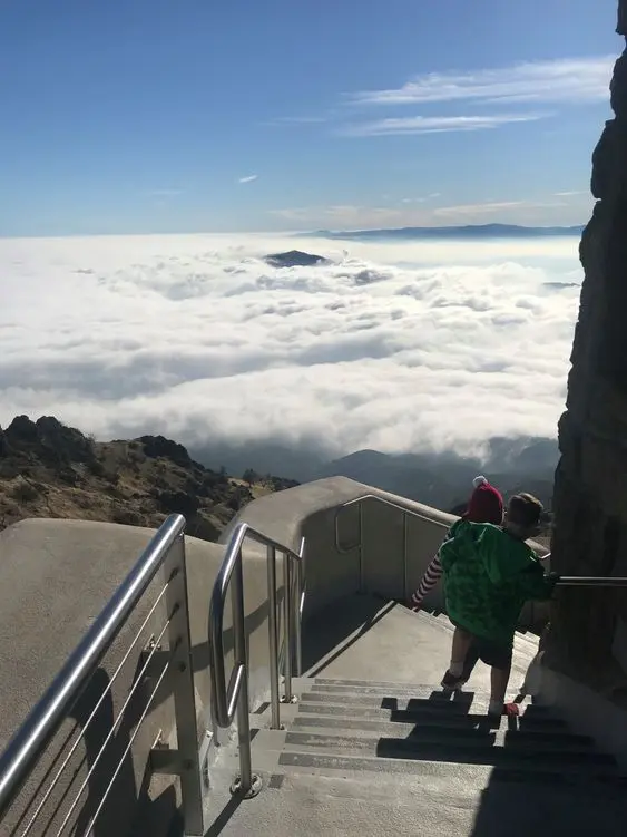 Nationwide Moving Guides For Anywhere in America SVL