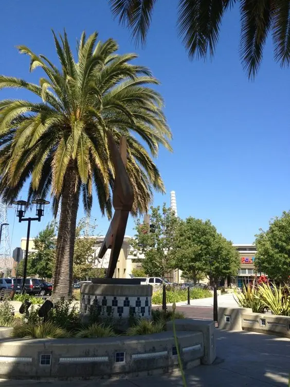 Nationwide Moving Guides For Anywhere in America SVL