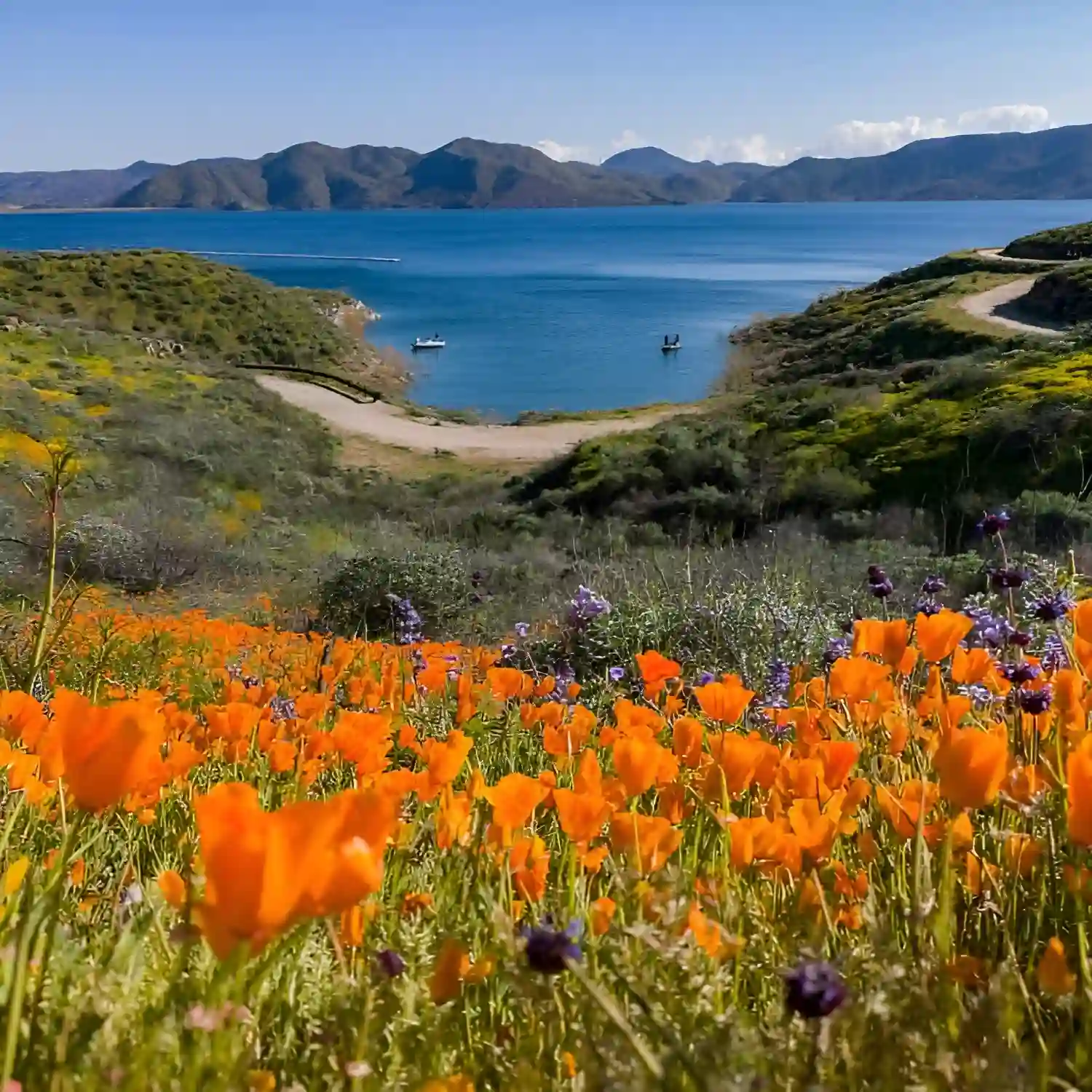 Diamond Valley Lake SVL