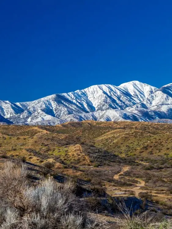 Nationwide Moving Guides For Anywhere in America SVL