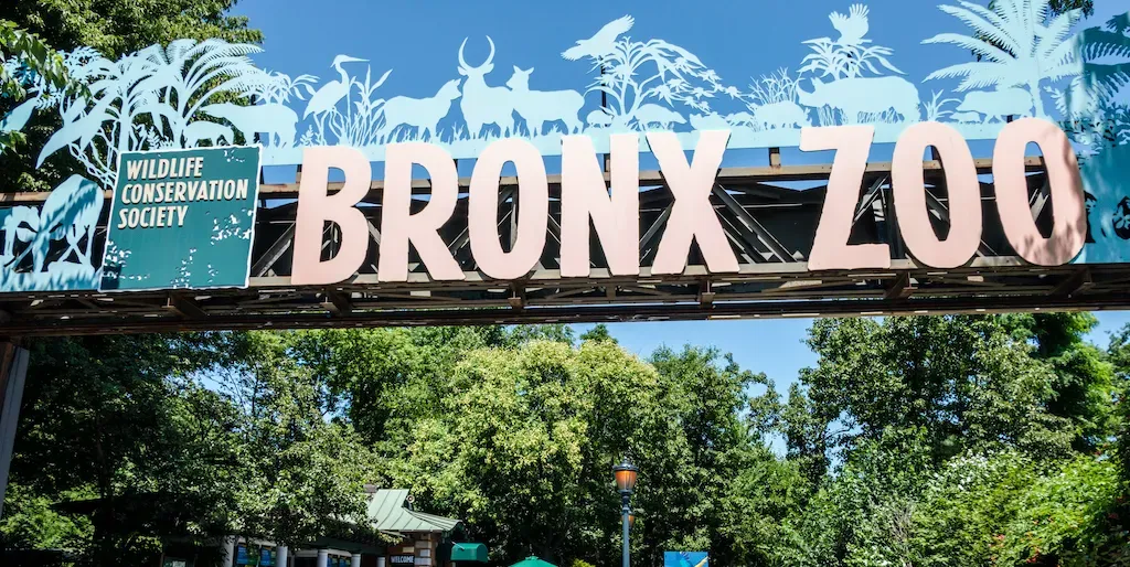 Bronx Zoo