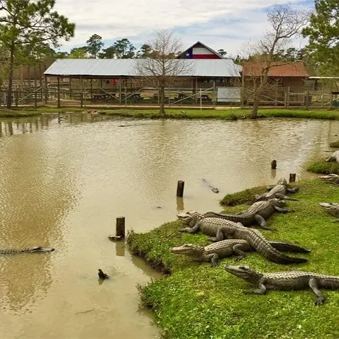 Gator Country Adventure Park SVL