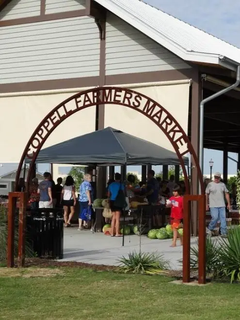 Nationwide Moving Guides For Anywhere in America SVL